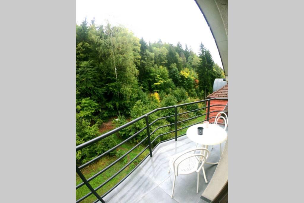 The Mountain Loft Klinovec - With Infrasauna ยาคีมอฟ ภายนอก รูปภาพ