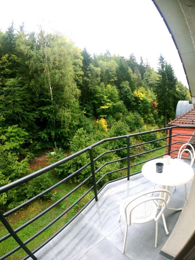 The Mountain Loft Klinovec - With Infrasauna ยาคีมอฟ ภายนอก รูปภาพ